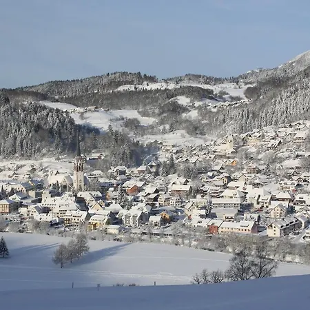 아파트 Kirchbuhl Ruhig & Zentral Schönau im Schwarzwald